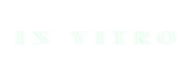 In Vitro